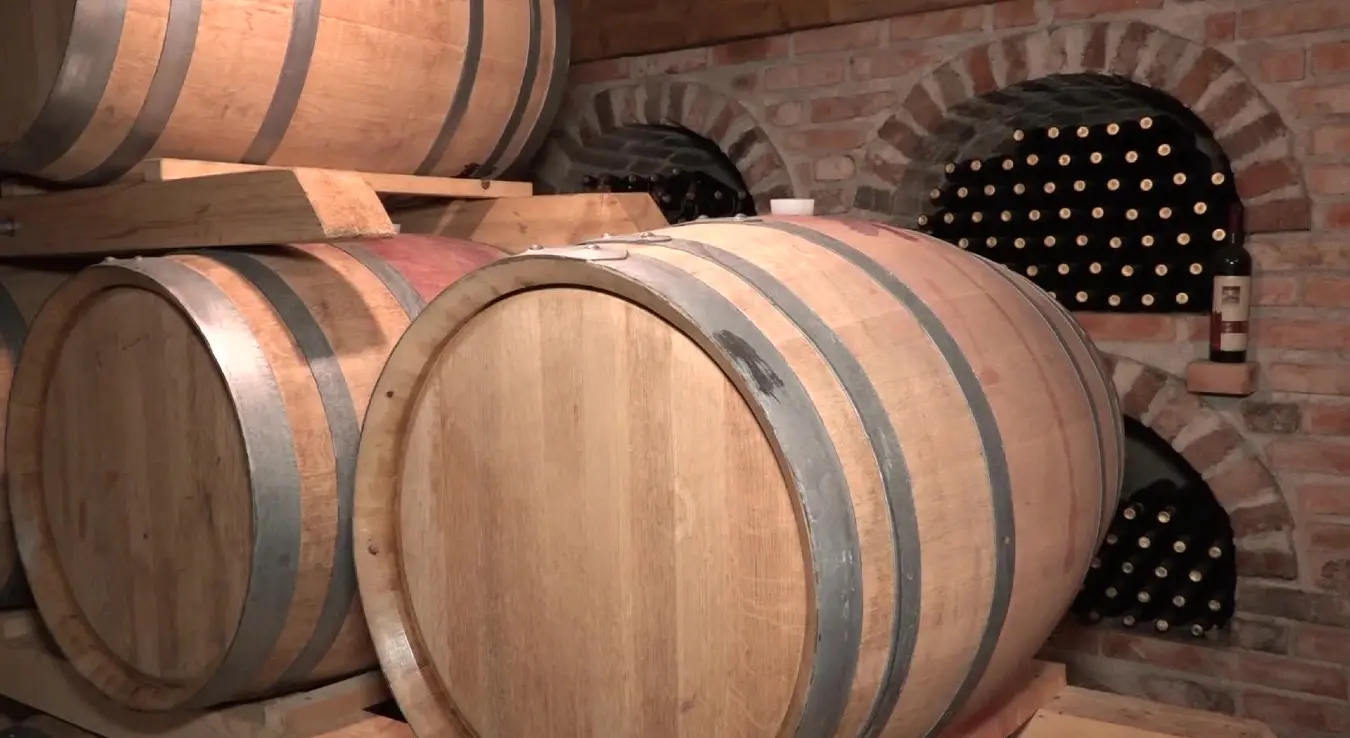 Херцеговци прославили славу винограда