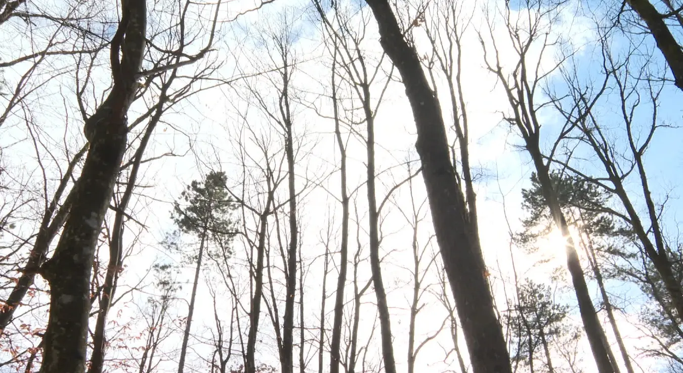 Лијепо вријеме измамило Бањалучане на излетишта