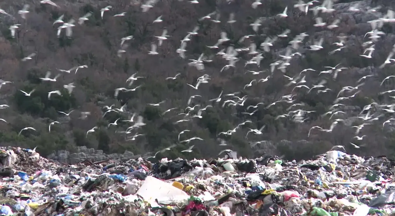 Требињска депонија