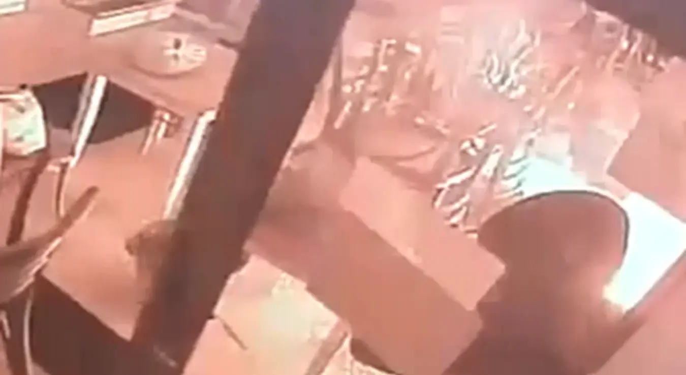 Подметање пожара у ћевабџиници