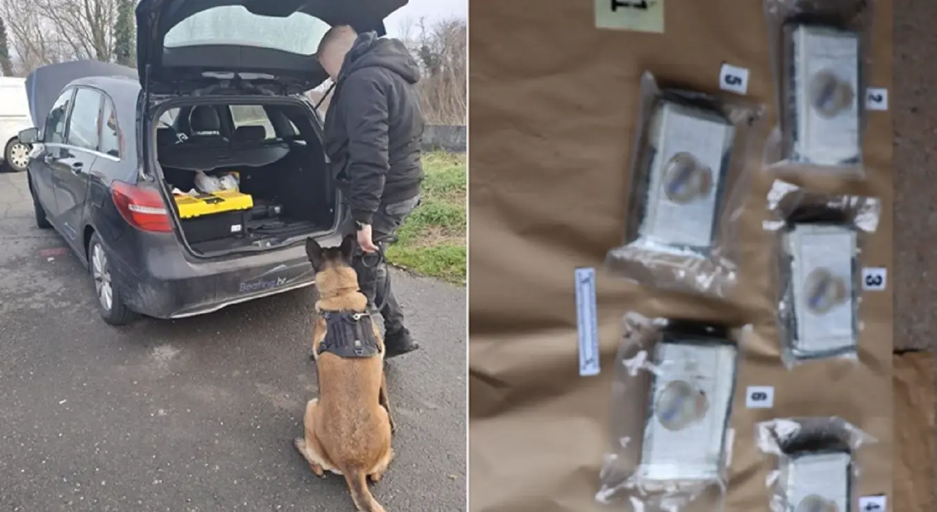 Полицијски пас Реа пронашао готово 6 kg кокаина у Загребу