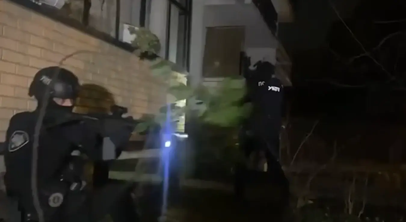 Заплијењене психоактивне таблете