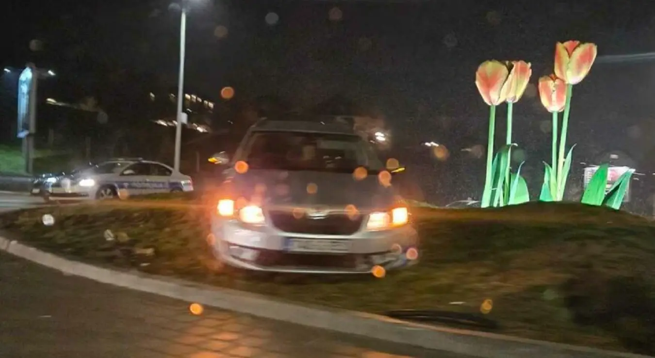 саобраћајка код тулипана