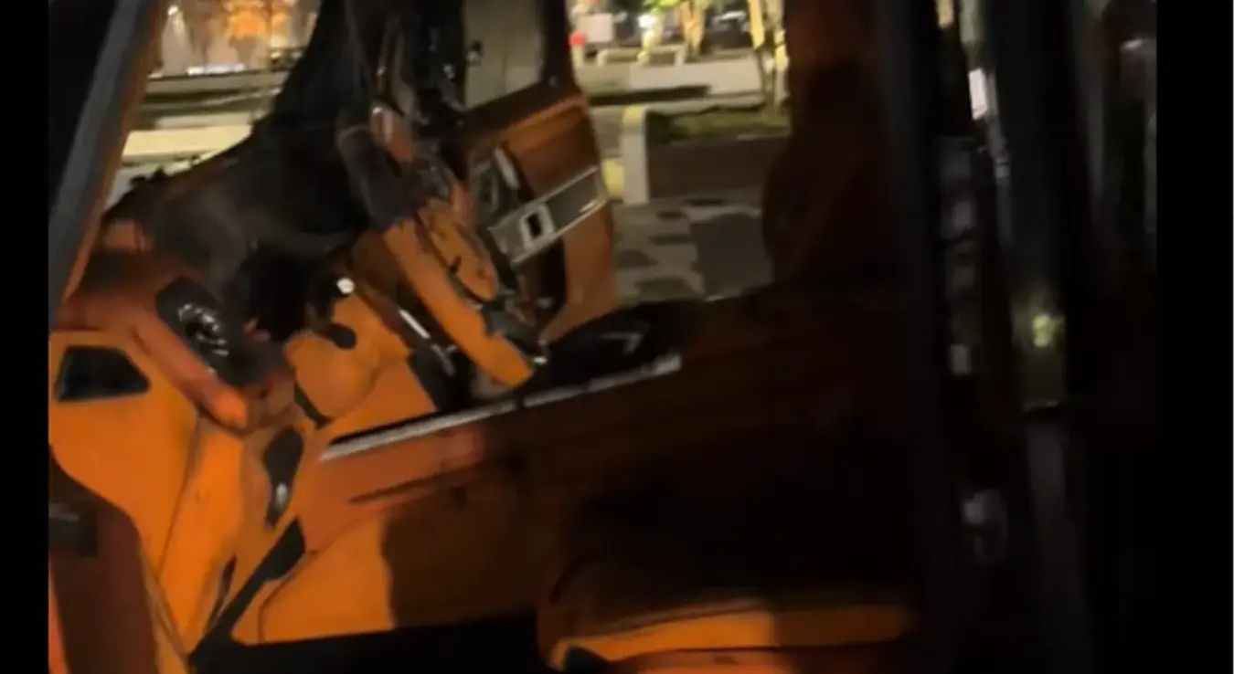 Запаљен аутомобил Баке Прасета