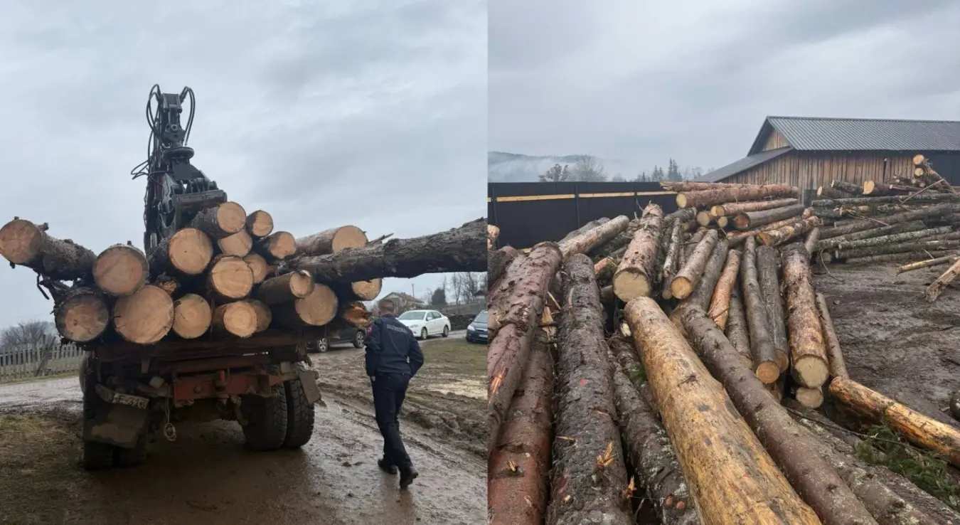 крађа дрва челинац пилана