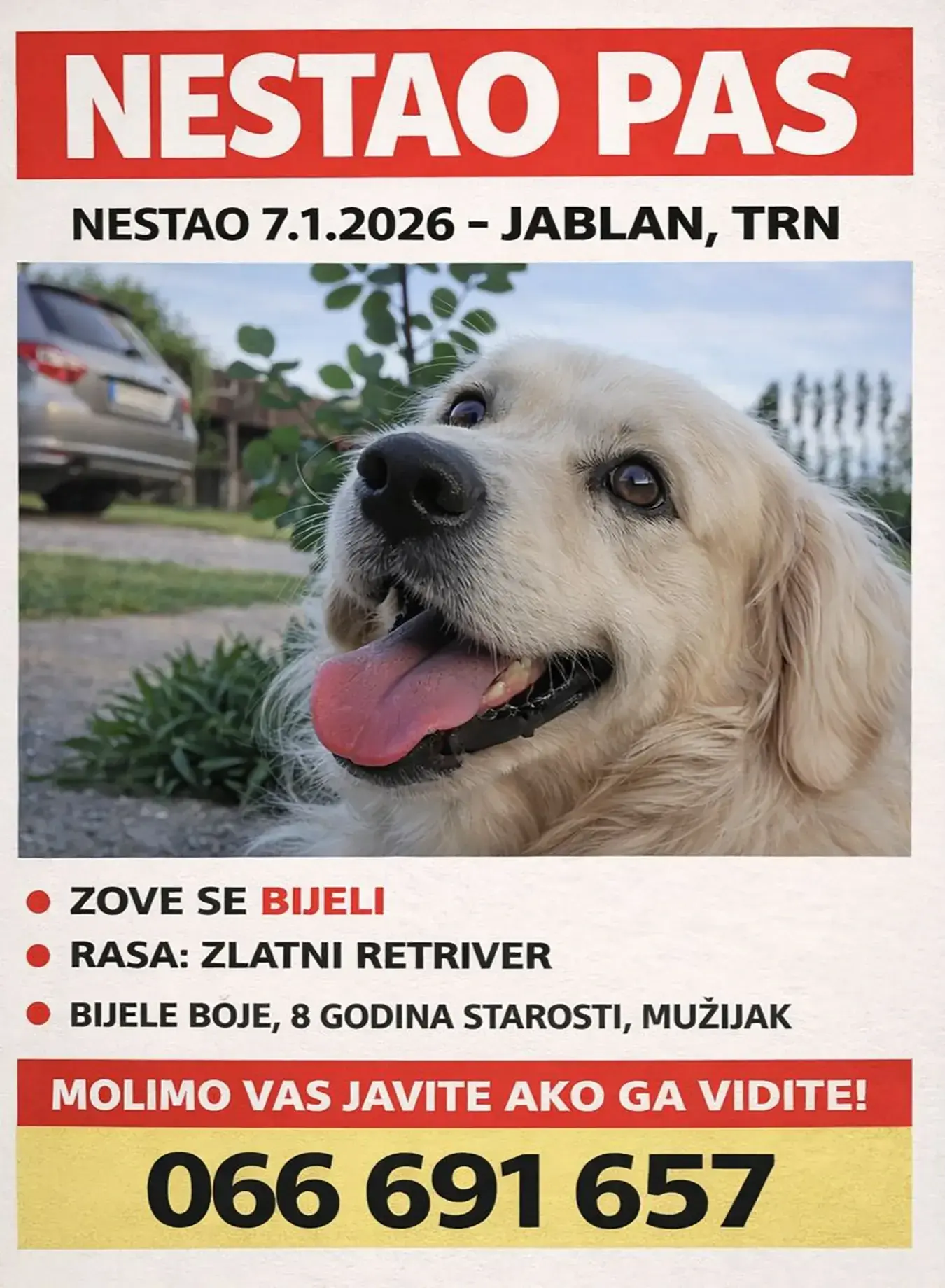 Пас Бијели нестао у Јаблану