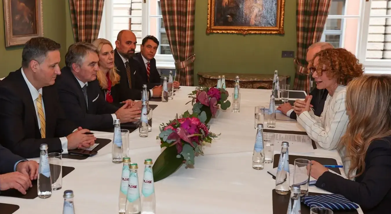 Замјеник Генералног секретара НАТО-а