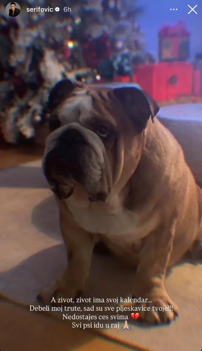 Пас Марије Шерифовић