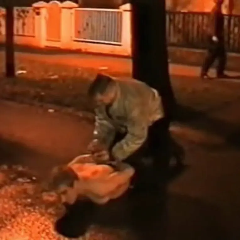 Хапшење Млађана