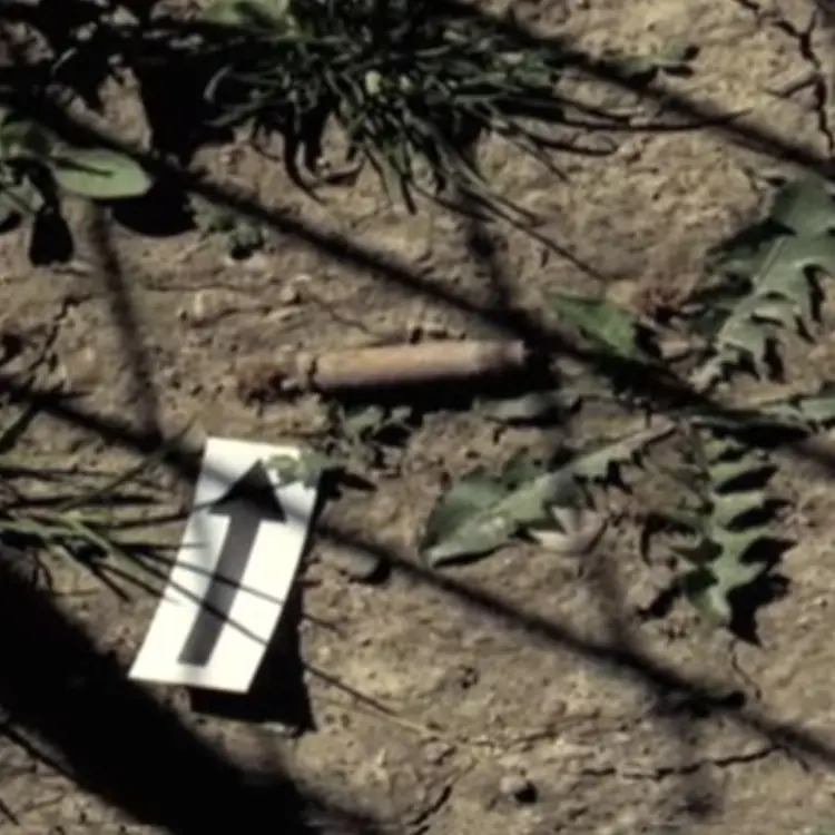 Полицијски увиђај