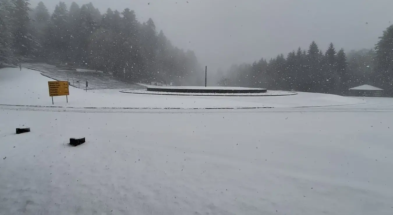 Козара-снијег