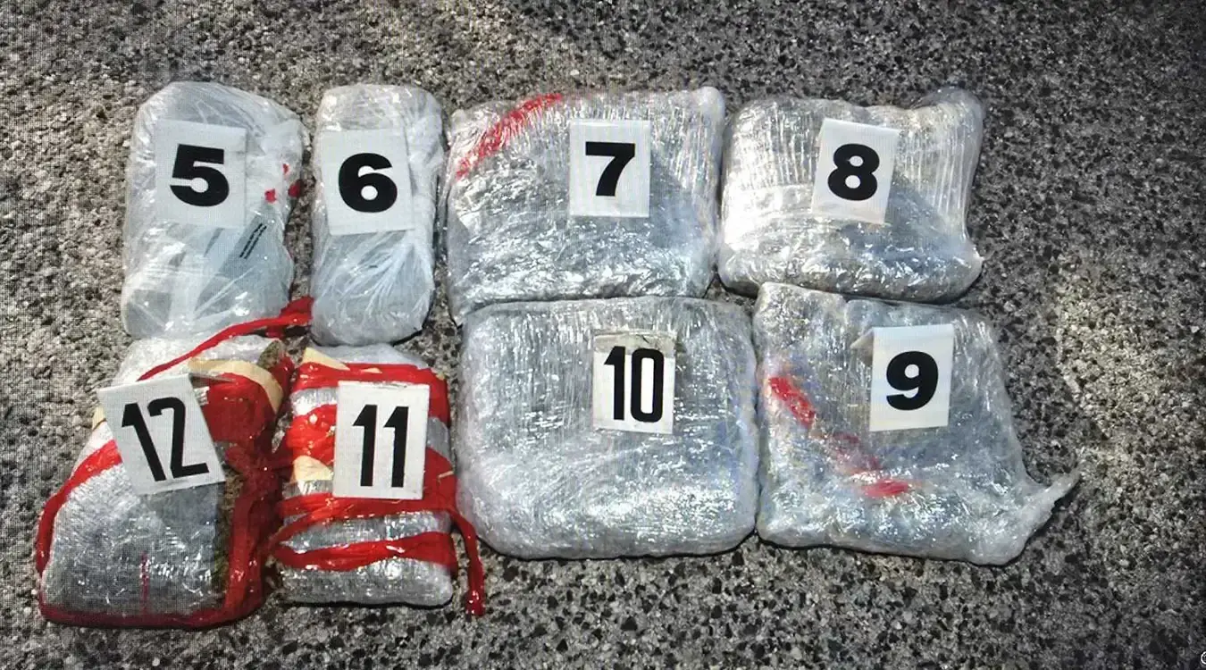 Дрога заплијењена у Билећи