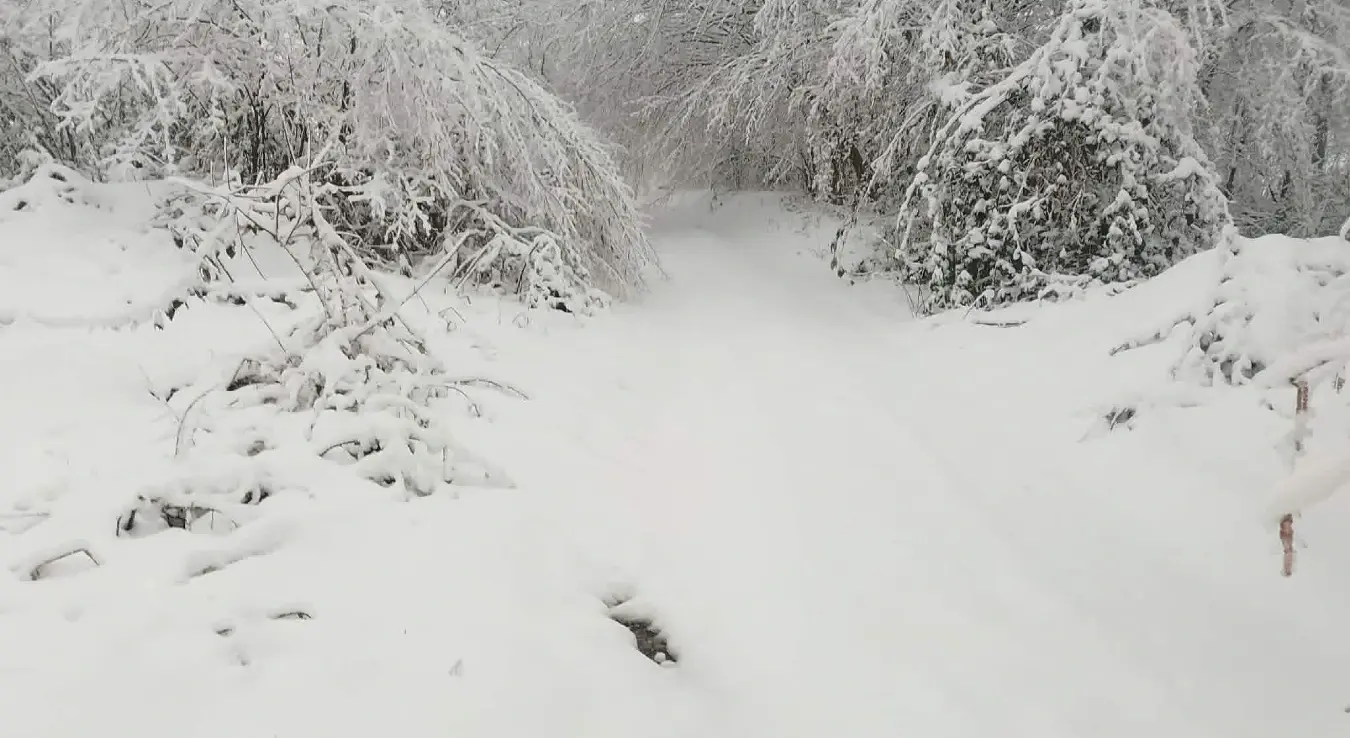 На снази наранџасти метеоаларм: Посебно упозорење за једну регију