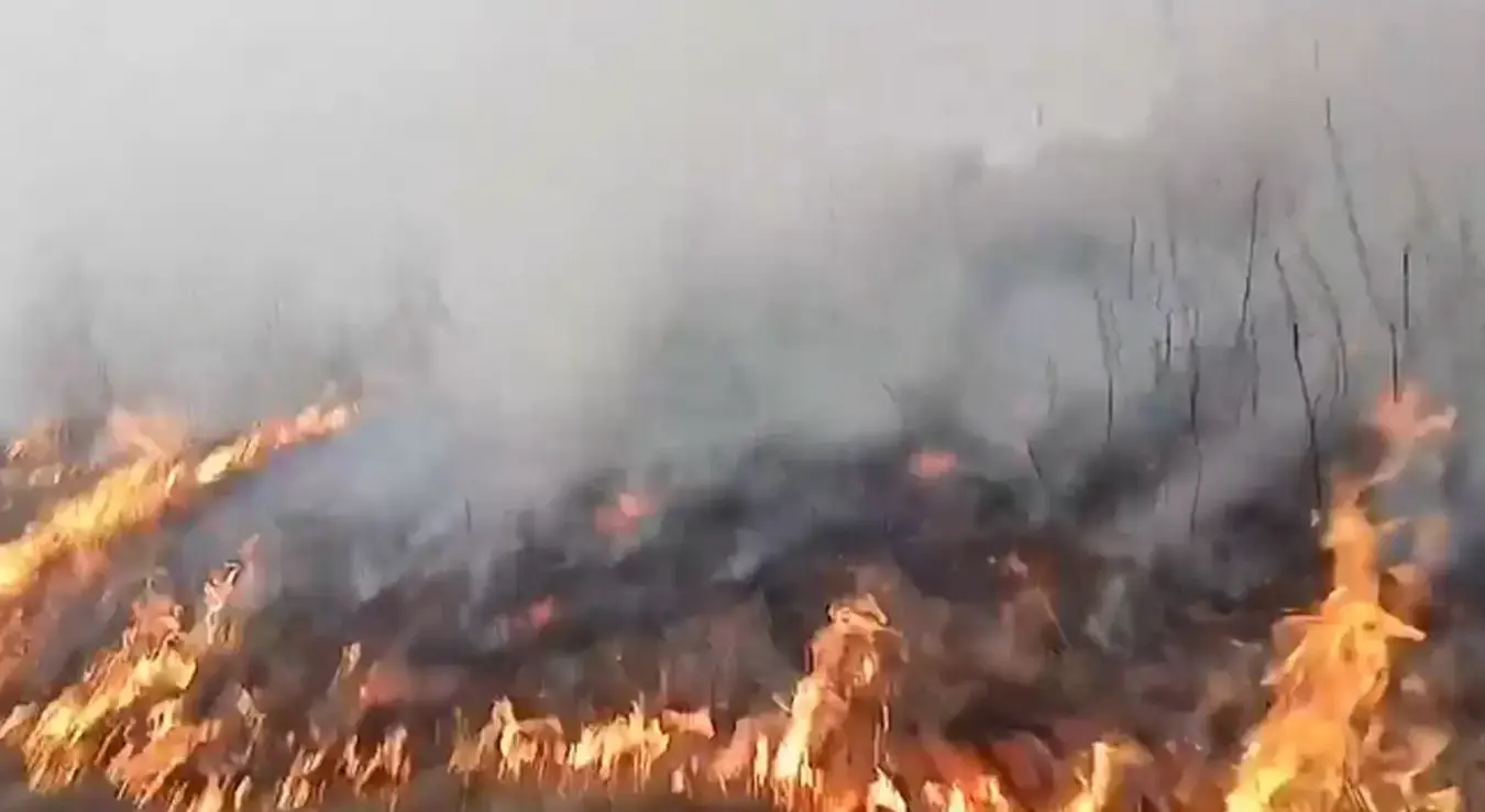 Пожар Трново