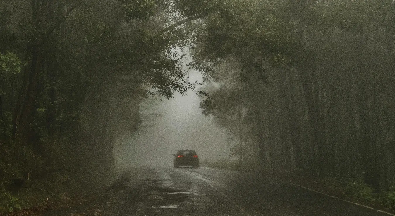 Магла на путу