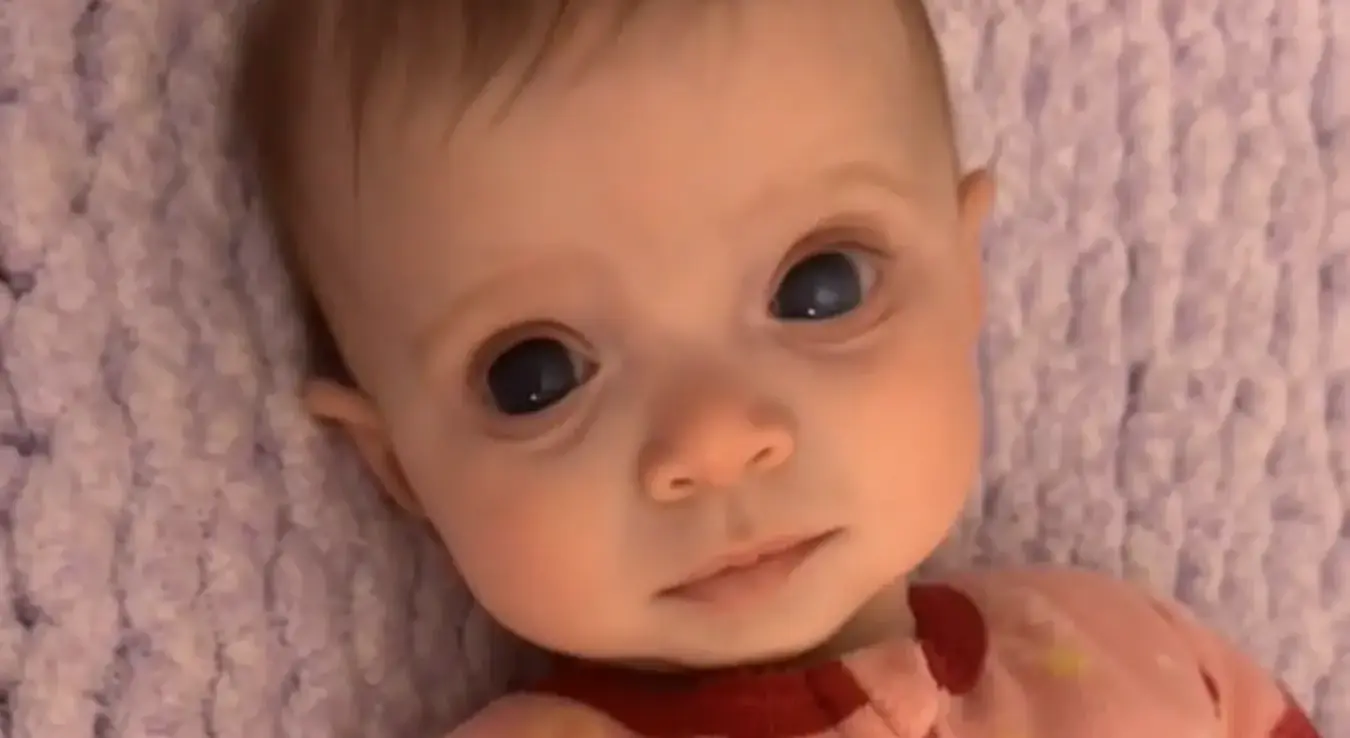 беба Вајолет