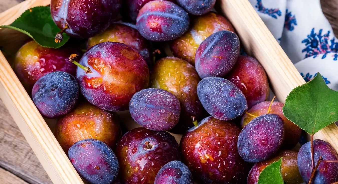 Шљиве,храна