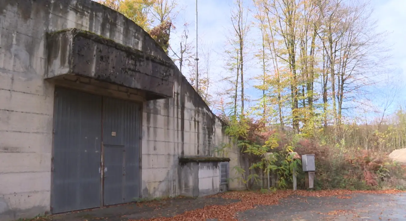 Трговска гора