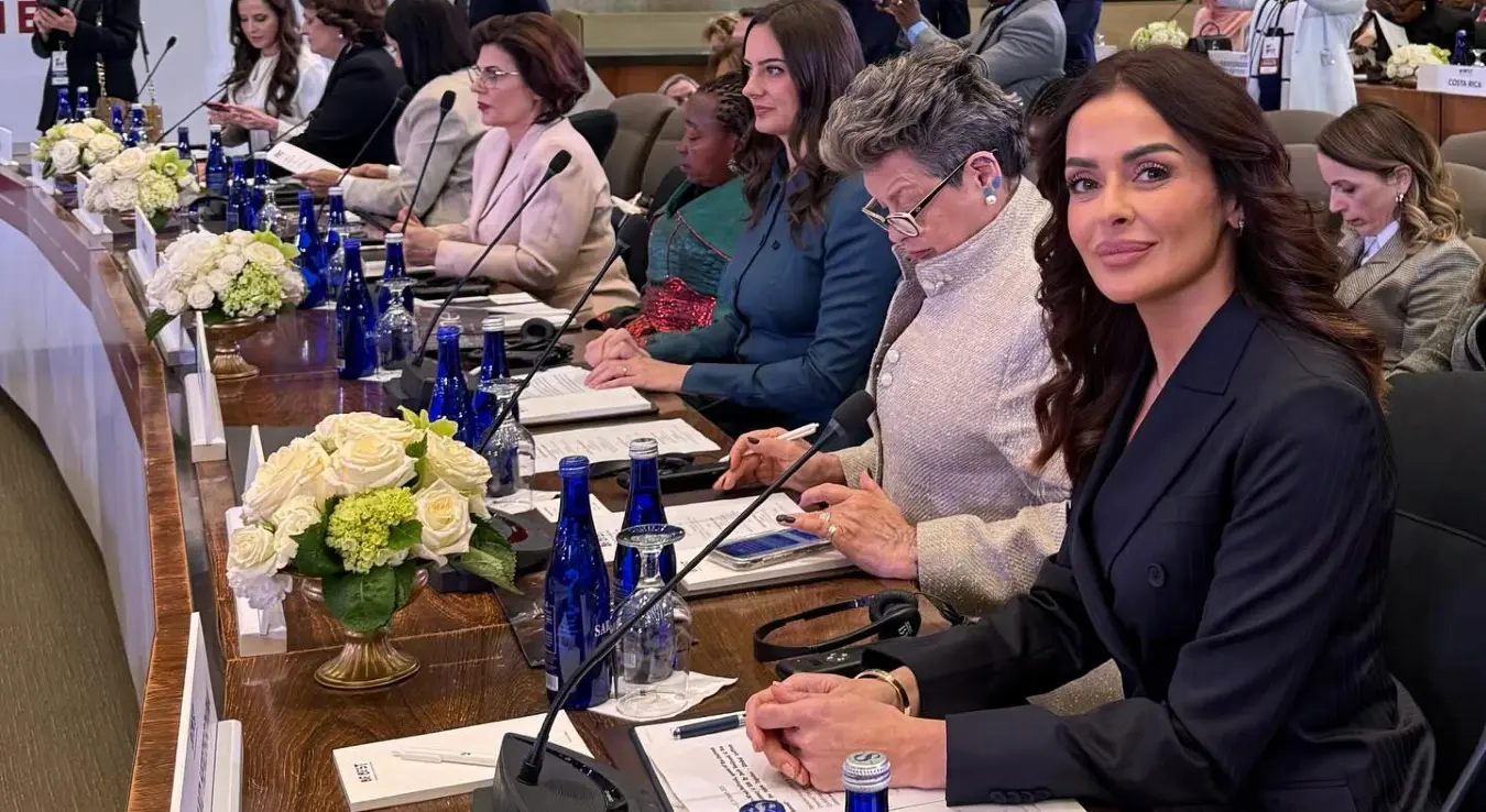 Бурне реакције на жену Дениса Бећировића: "Нигдје не пише да жене, мужеви, тетке или нане изабраних функционера представљају БиХ"