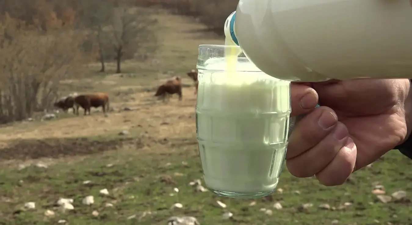 Чаша са млијеком