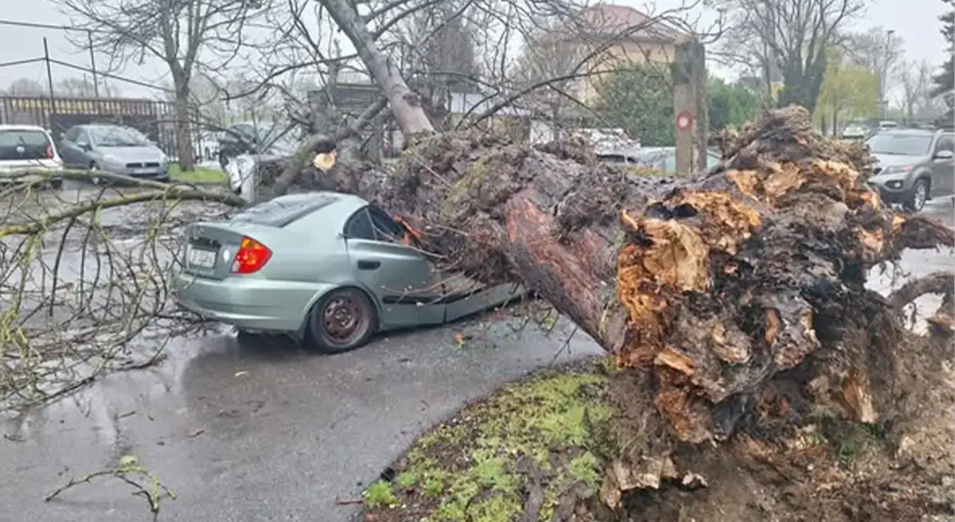 Смрскан аутомобил у Загребу