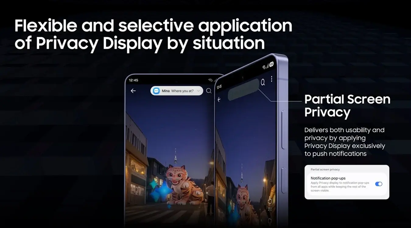 Privacy Display