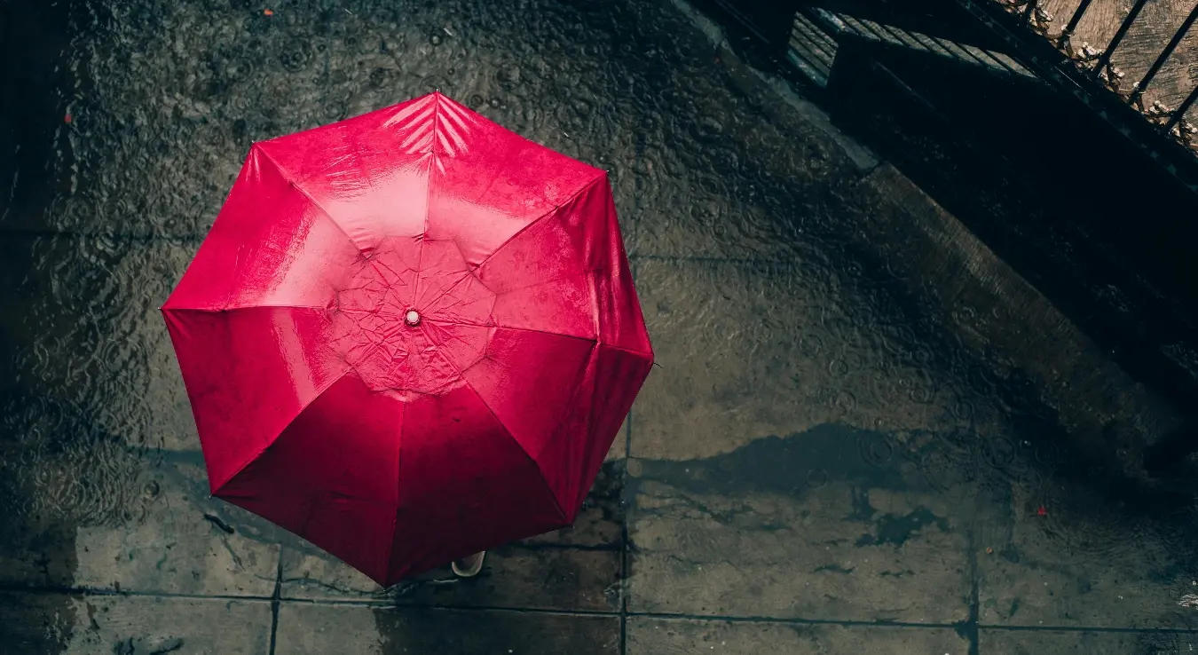 Рози кишобран на киши, мокро, пада киша