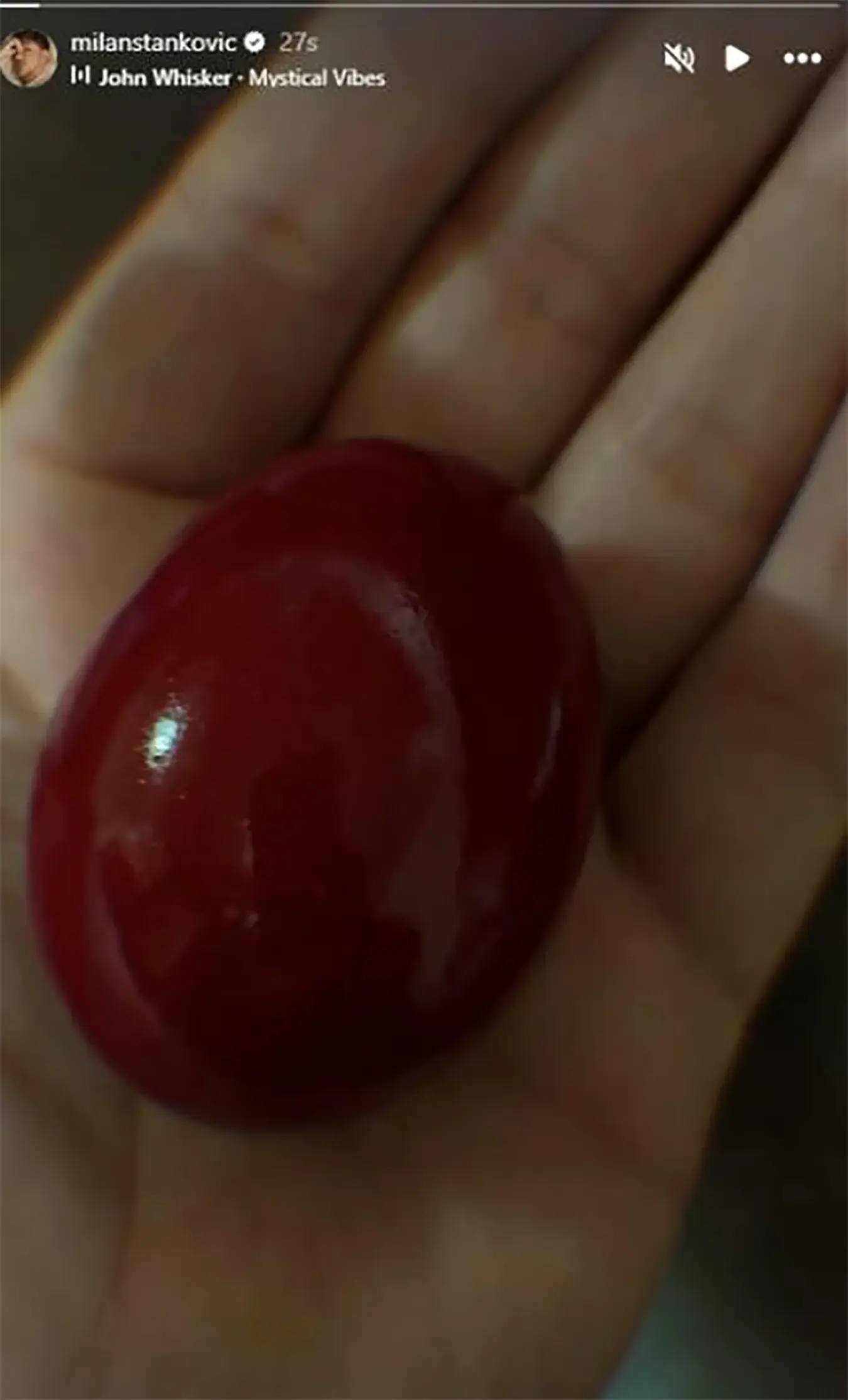 Милан подијелио објаву чуваркуће с пратиоцима