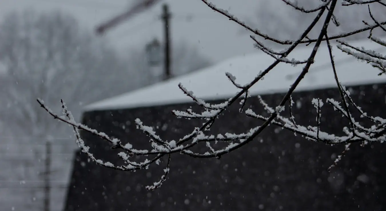 Сније на грани зима хладноћа вријеме