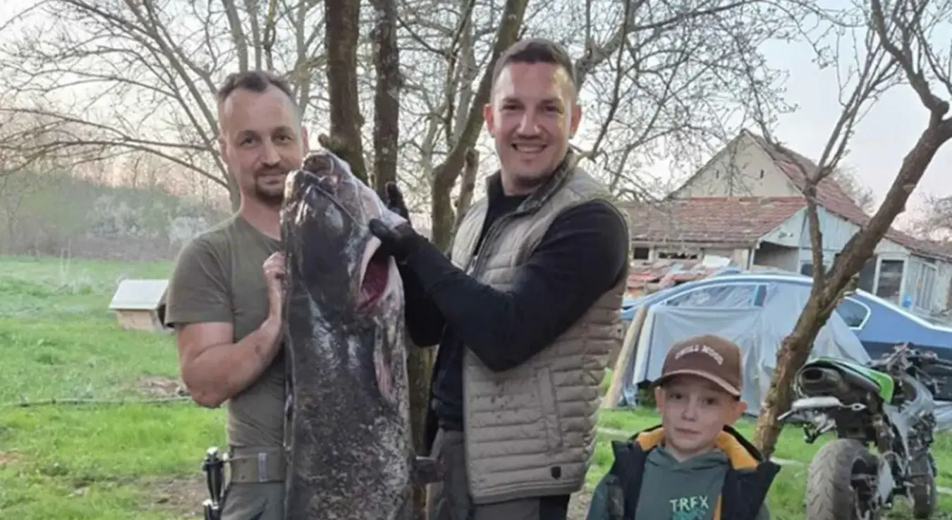 Алдин Капетановић уловио је у Укрини сома капиталца тешког 42 килограма, а у извлачењу рибе дуге 180 центиметара помогао му је Јован Зорић