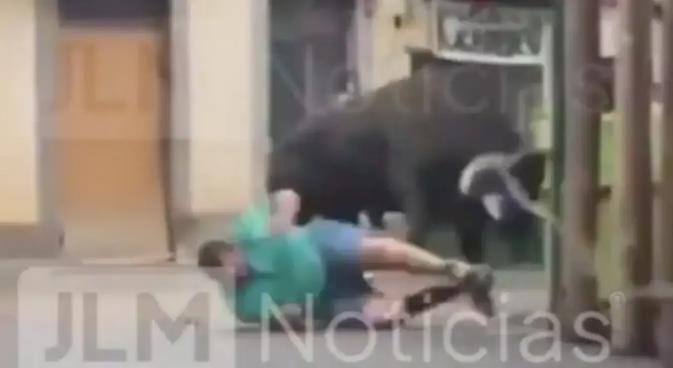 Бик убио човјека насред улице