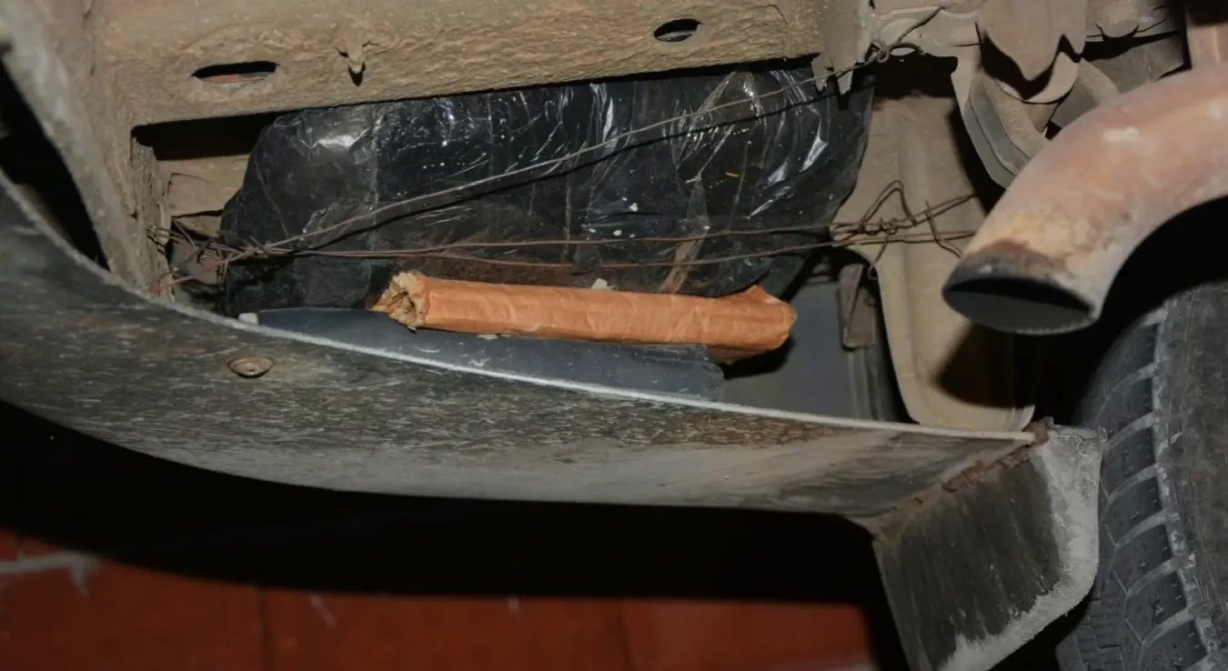 Марихуана сакривена у шкоди.