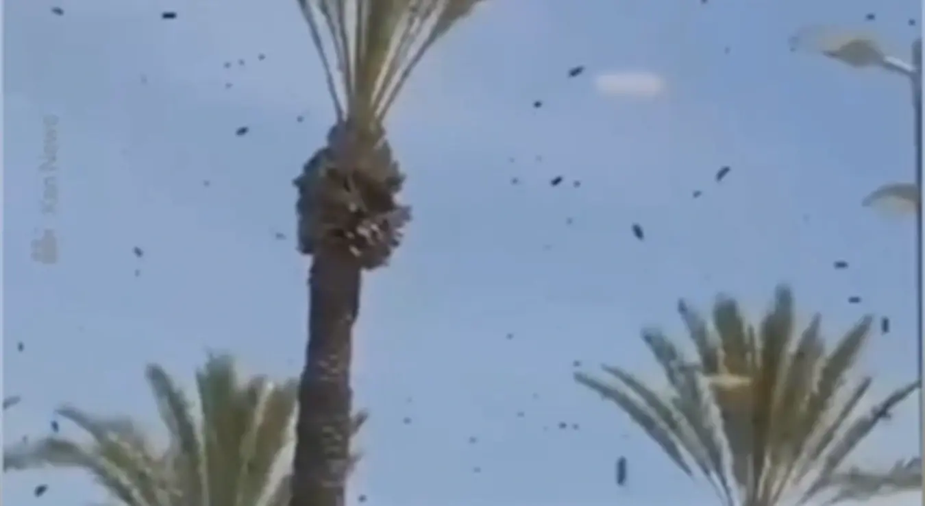 Пчеле у Израелу