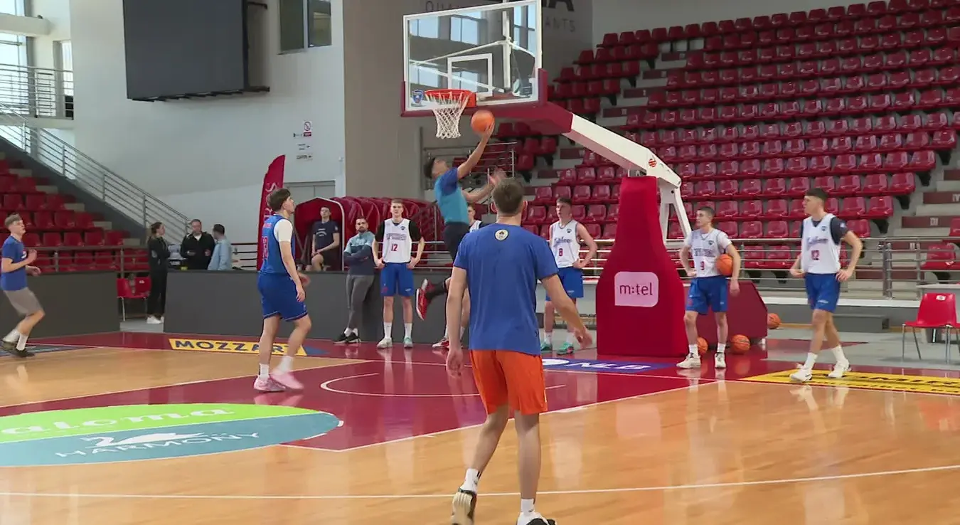 Икогеа јуниори