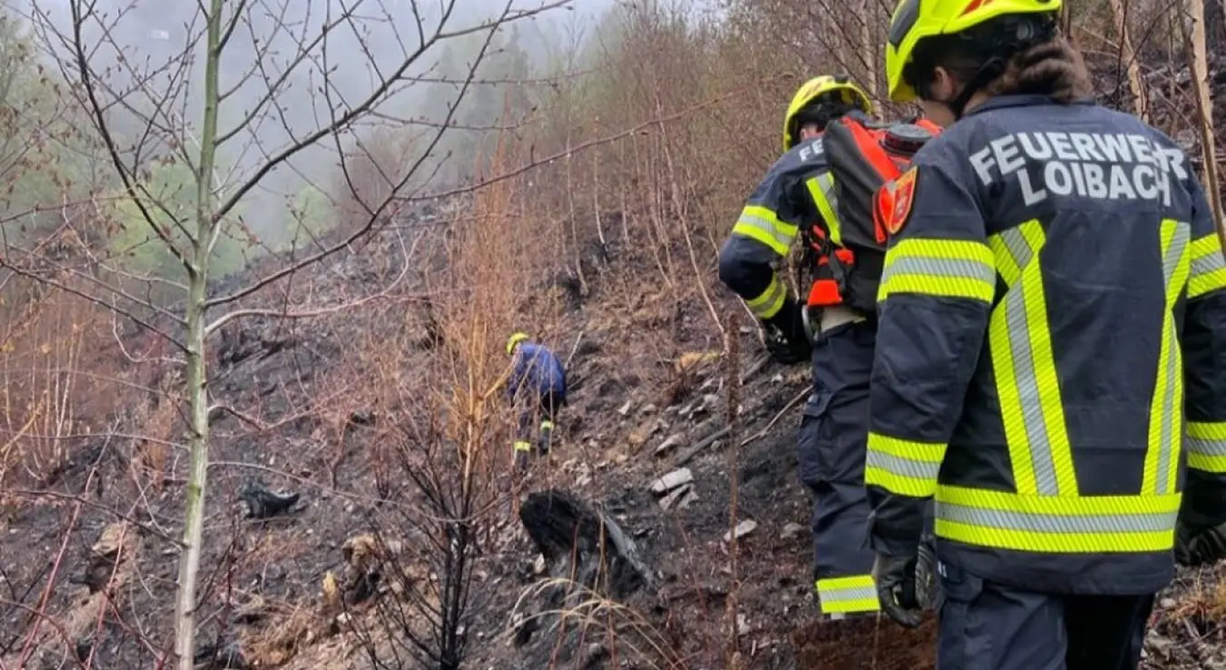 Срби пошумљавали шуму у Аустрији па је запалили