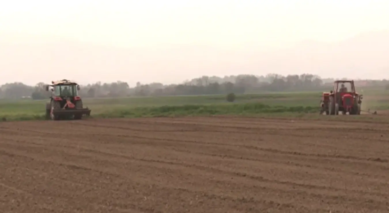 Прољетна сјетва