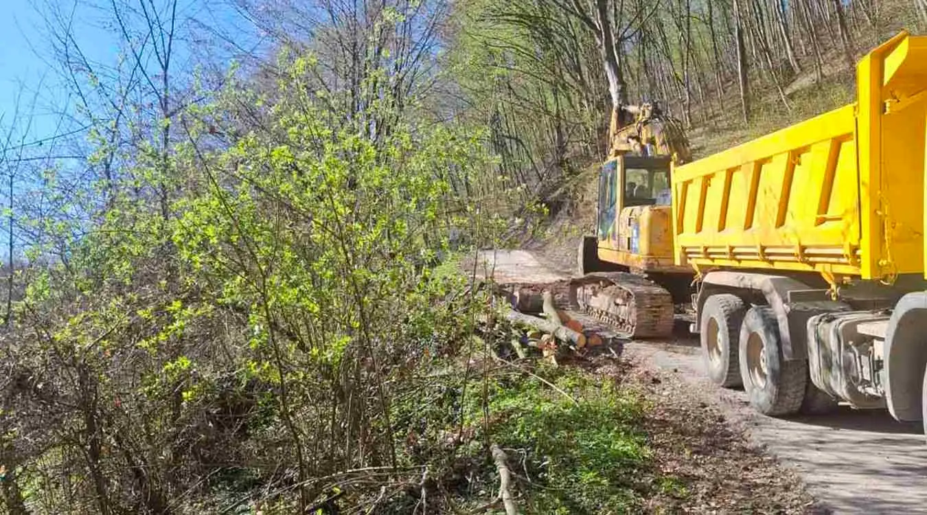 Сарачица одрон