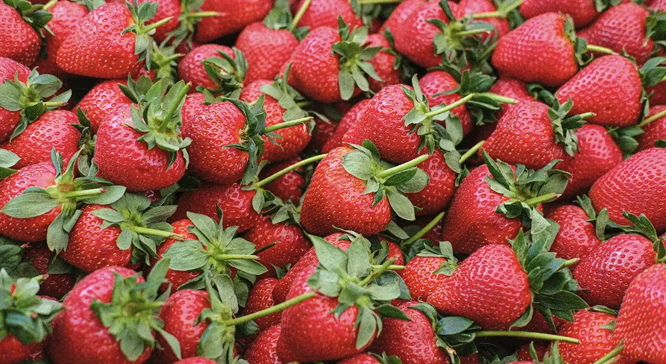 Црвене јагоде