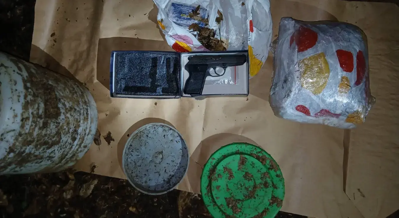 Одузета марихуана и пиштољ