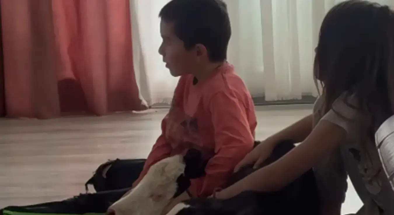 Теле у кући са дјецом испред ТВ-а.