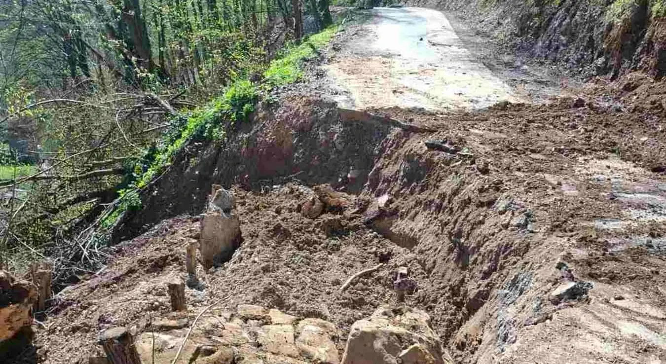 Saračica odron na putu