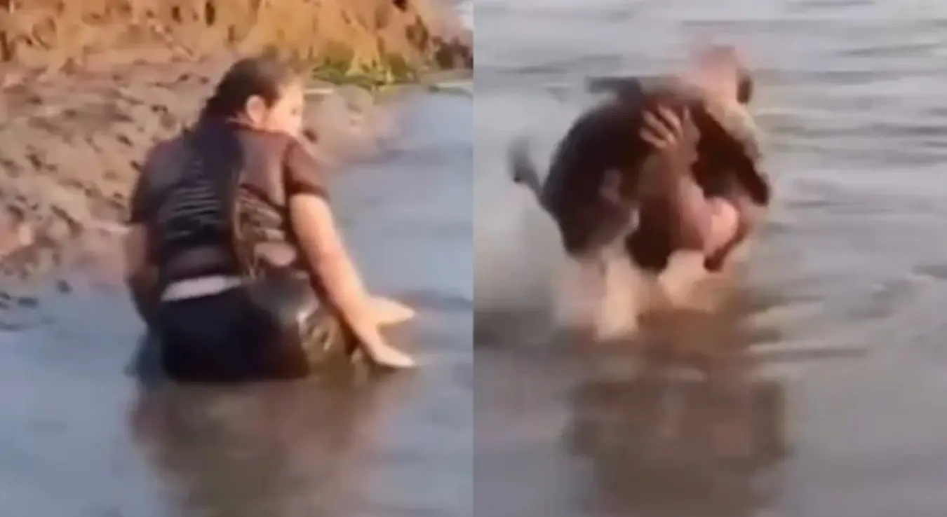 Жена вади случајно алигатора из воде након чега бјежи