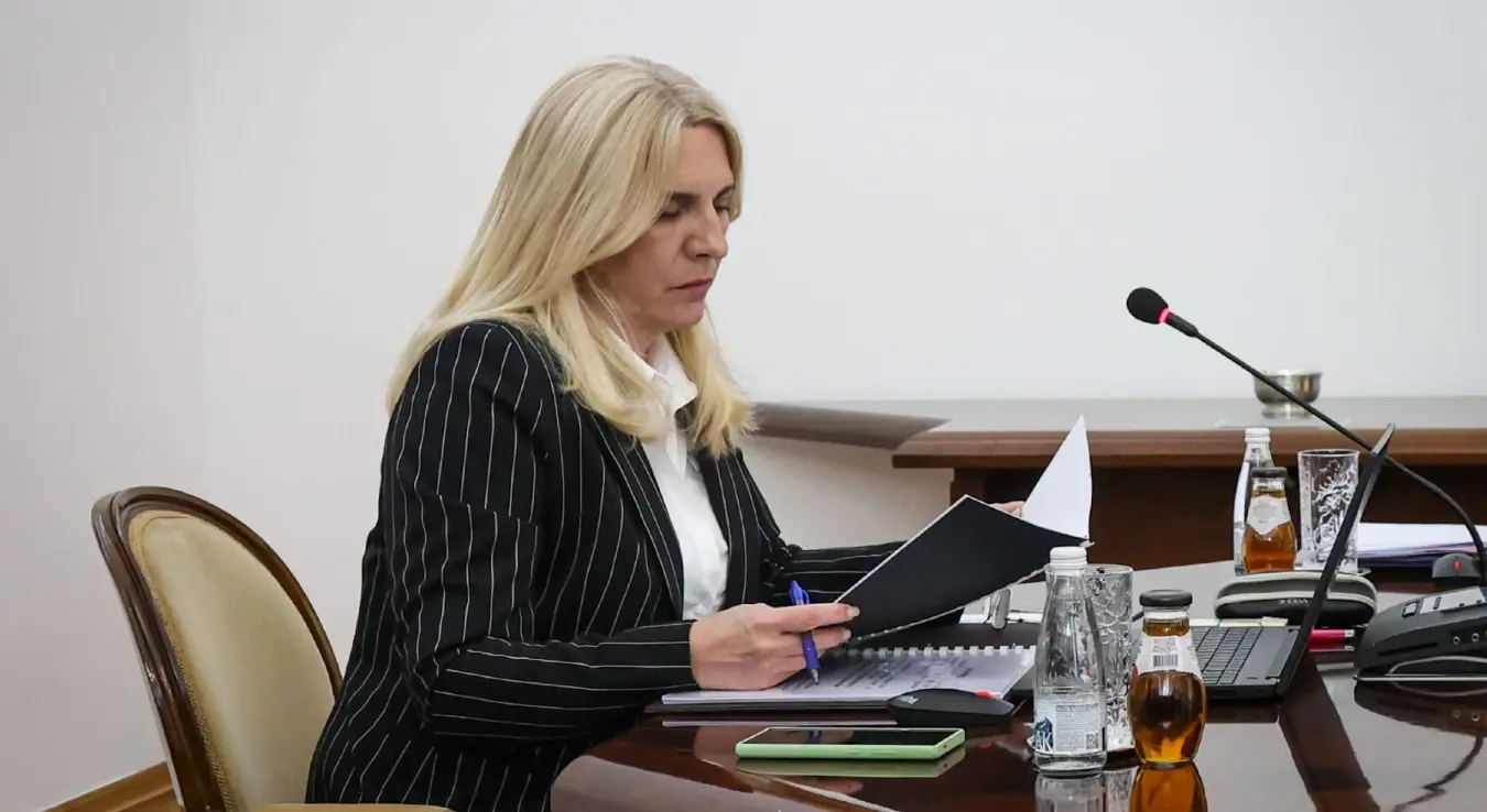 Жељка Цвијановић