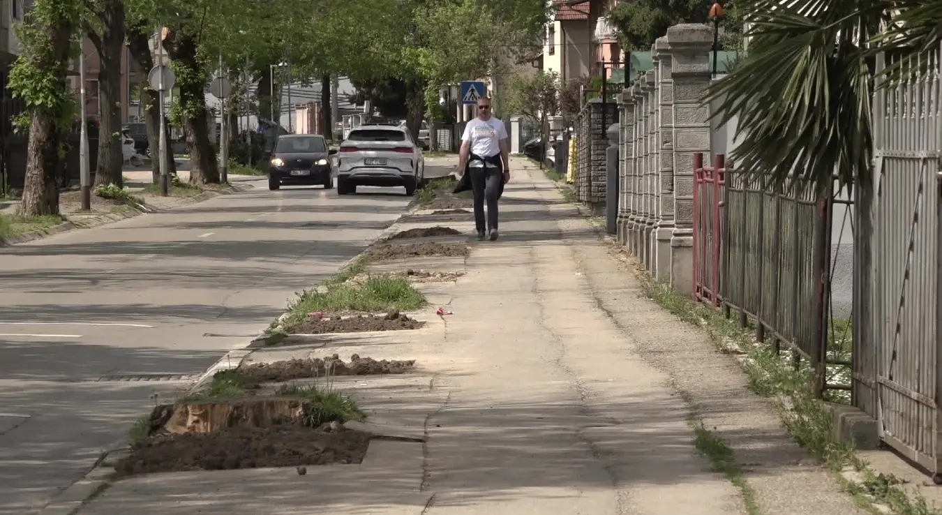 Милан Радан стабла