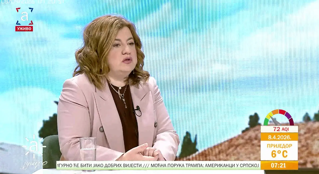 професор међународних односа и безбједности гостовање