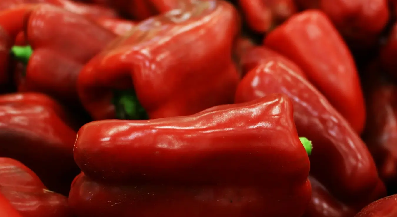 Црвене паприке, зелене паприке, жуте паприке, поврће, пуњене паприке, љута папричица