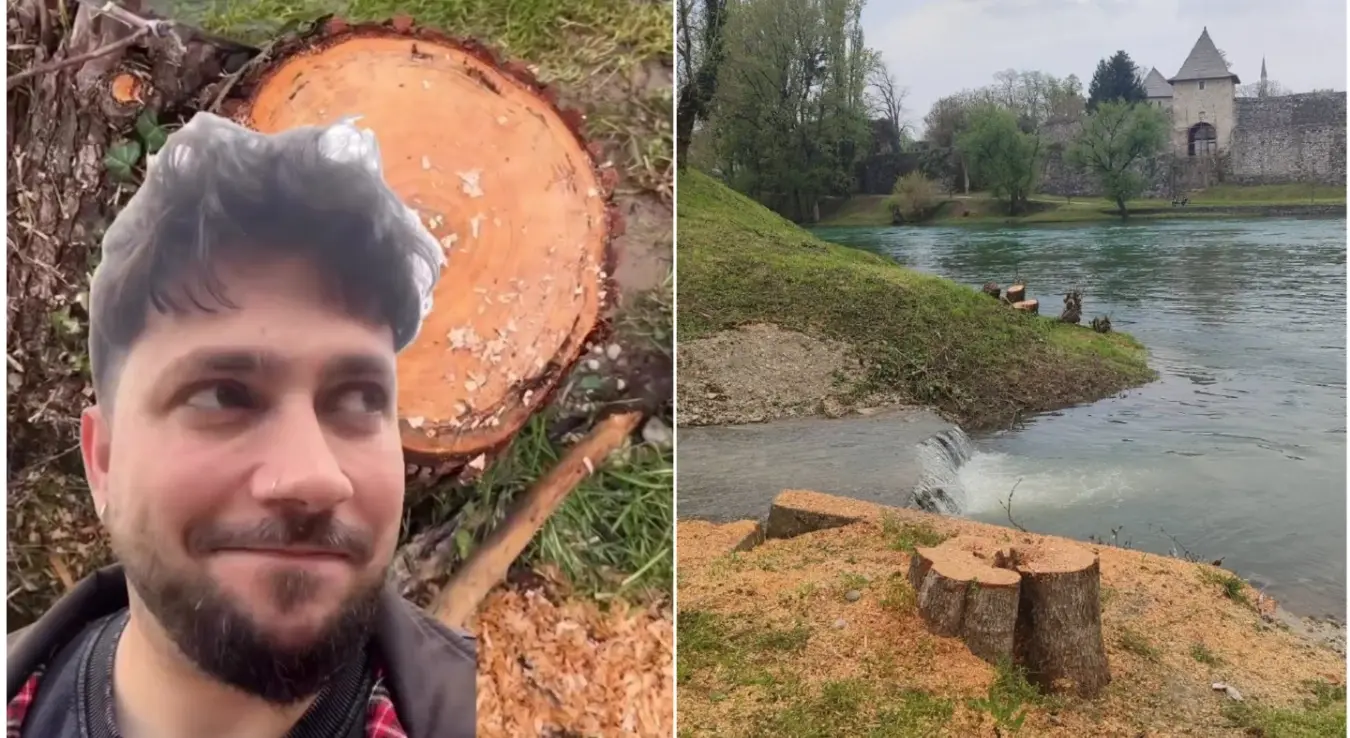 Милош Орлић коментарише сјечу стабала уз Врбас