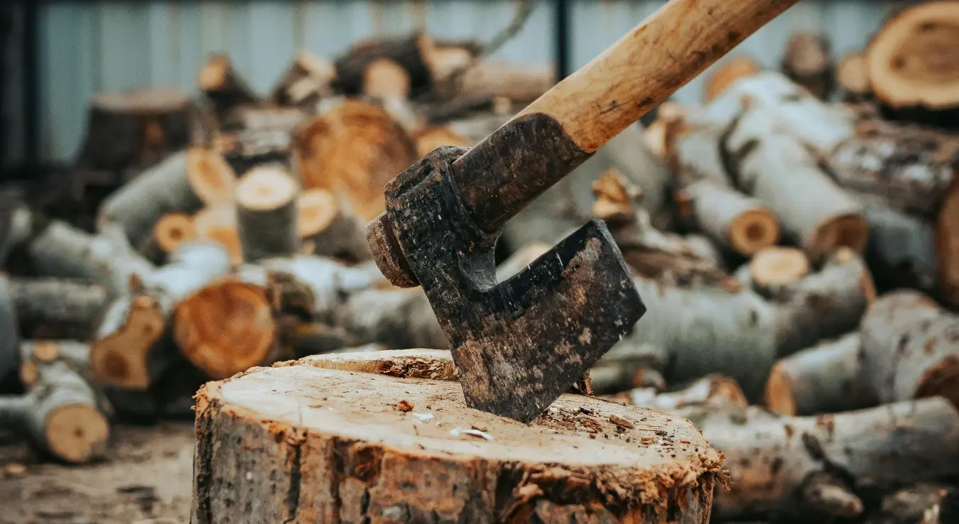 Сјекира је забијена у пањ, иза се налази гомила хрпа дрва.