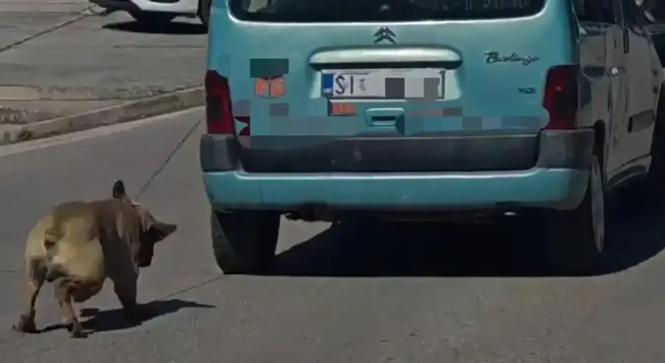 Везао пса за ауто и вукао га кроз град