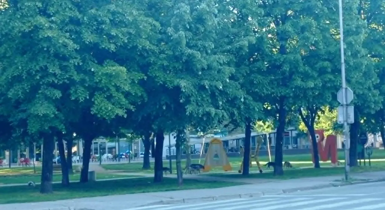 пас луталица паркић